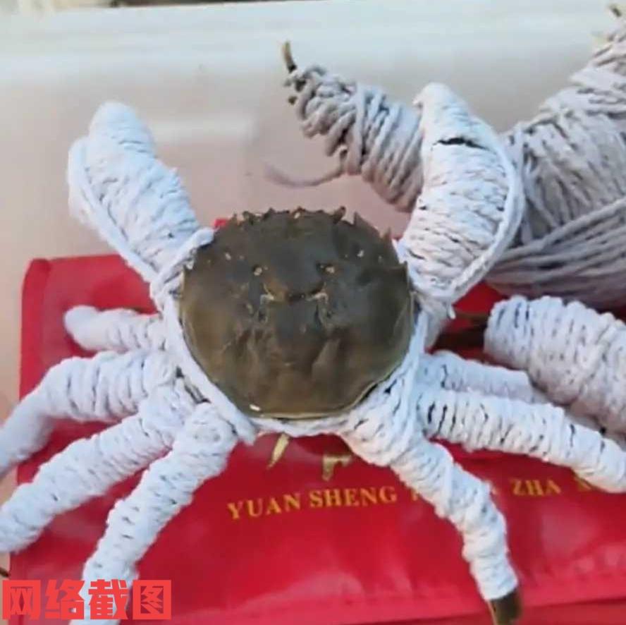有卖螃蟹的商家，为发货到东北给螃蟹的爪都裹上毛线了。这一奇特的手法也是怕螃蟹