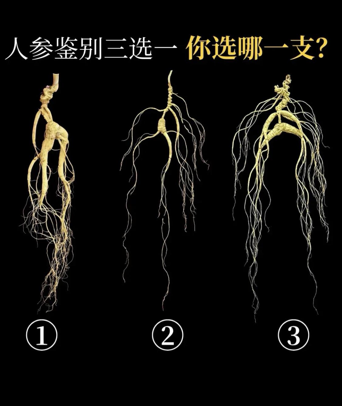 凭你的第一感觉，你觉得哪一支最值钱？[墨镜]