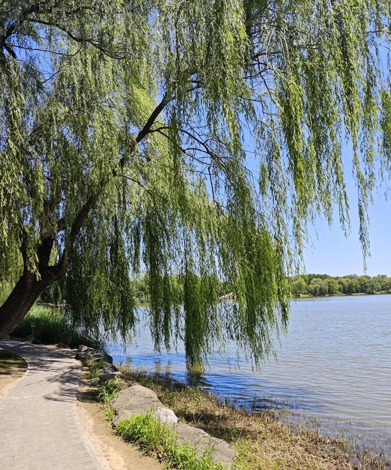 俄罗斯还没有把乌克兰解决掉，又挑起了与阿塞拜疆之间的外交冲突。前几天俄罗斯安全