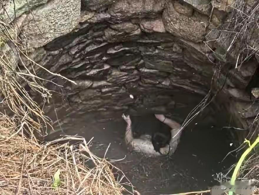 “身上爬满蛇”近日，泉州一名48岁的女子谭女士（化名）在13日上午出去野外散