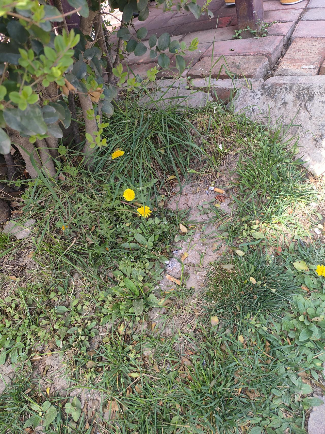 人到晚年才懂：能自理才叫养老，不能自理，其实就是渡劫人这一辈子，年轻的时候