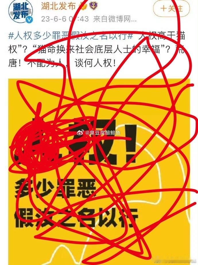 为什么冻肉？当然是因为早就是无孩爱猫女了。​​​