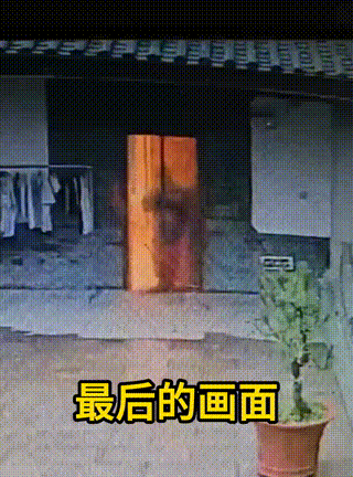 丽江失联女大学生已确认身亡，20岁女大学生程霞的人生，永远停在了玉龙雪山的悬