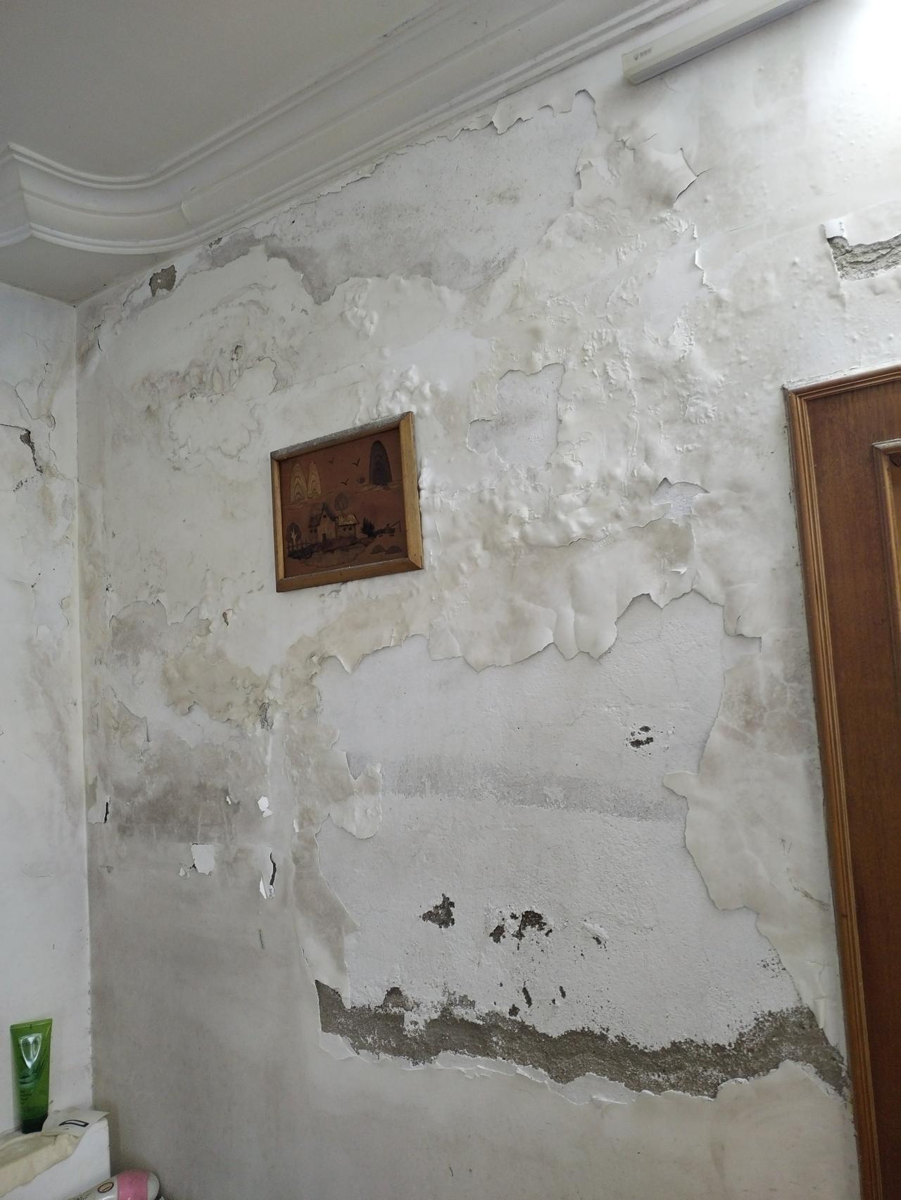 这一片漏水残墙，去年二十万卖不出，今年二百万已经买不到。一墙难求啊！更何况是一