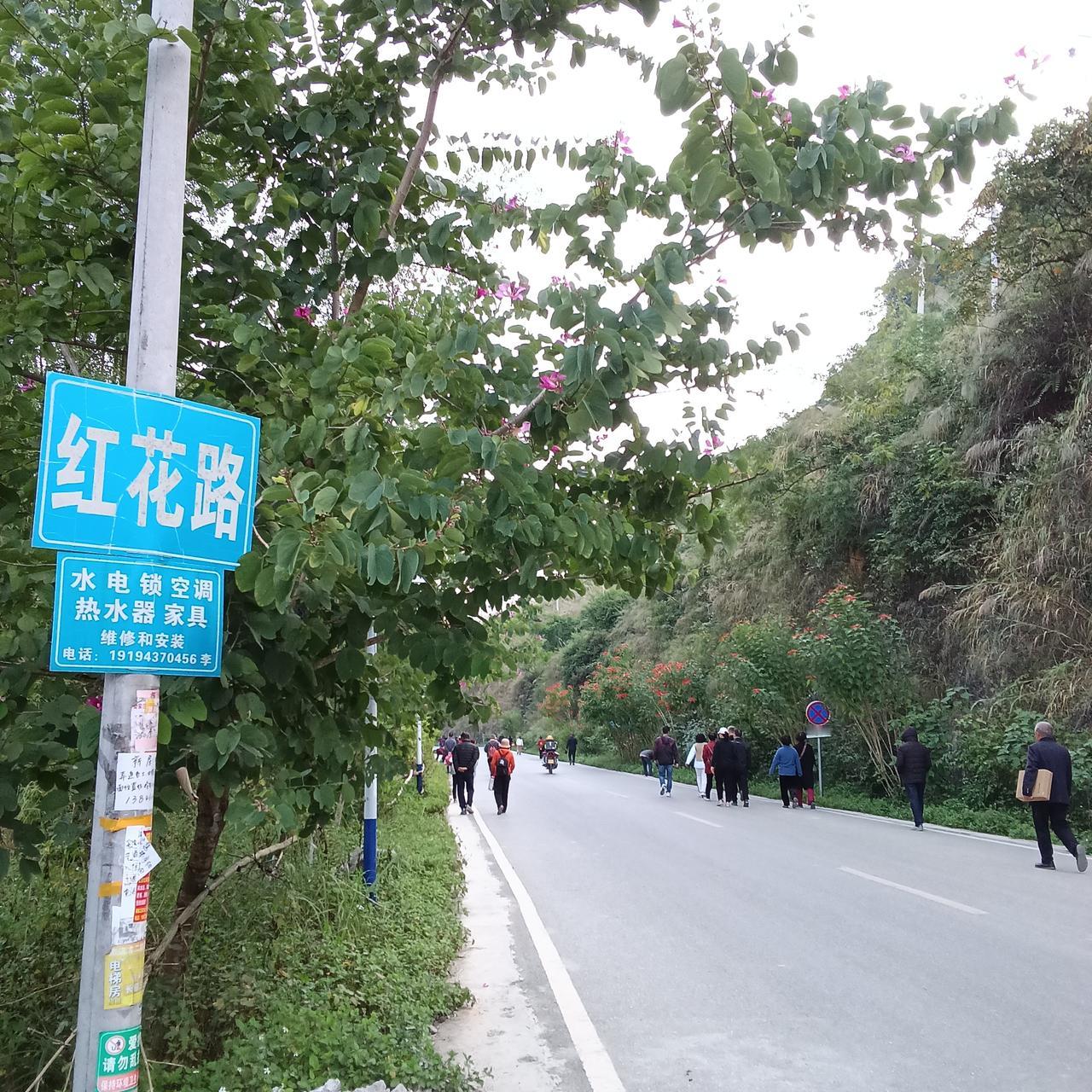 我的回答是肯定的。广西的好，我在慢慢体会中现在就给大家分享三点。第一，巴