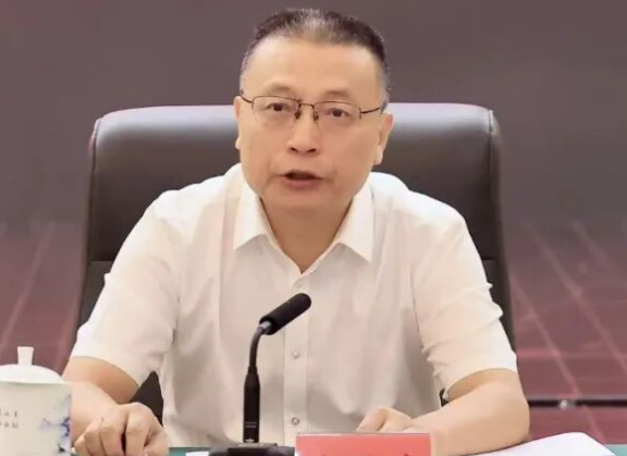 肖玉文, 任上被查