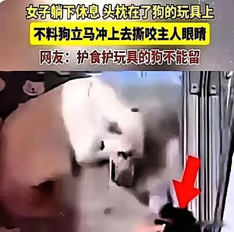 “三秒钟毁掉一生”黑龙江的陶女士加班回到家，疲惫地躺在沙发上，头枕在了自家狗最看