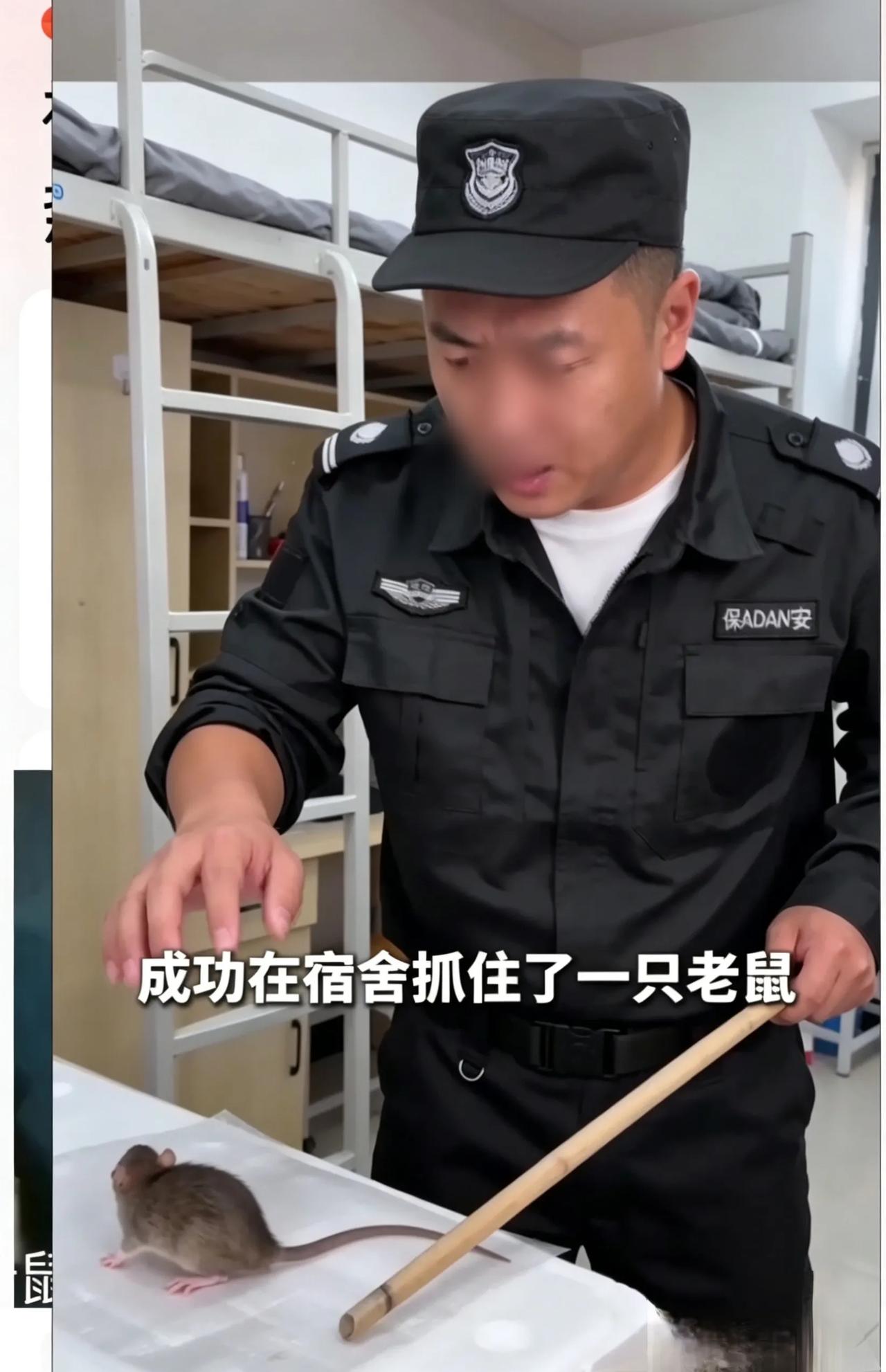 老鼠咬伤后果很严重，人人须知的急救处理与就医指南2026年4月3日，广东深圳