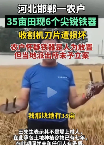 河北邯郸，男子在村里承包了35亩土地种小麦，夏收时节，他叫了收割机马不停蹄去收，