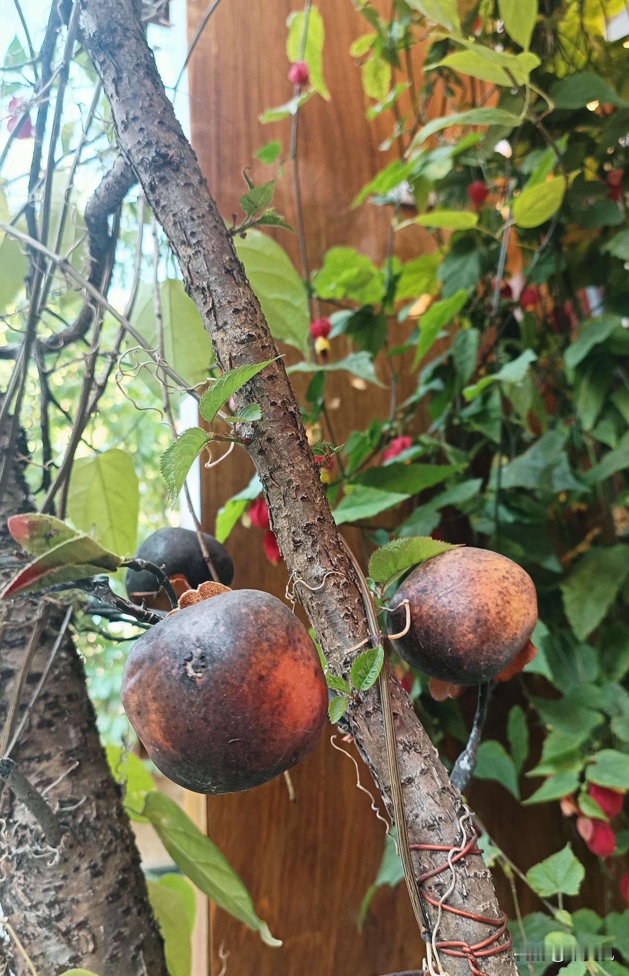 这个年假过得太快，感觉还没耍够又将结束。想起罗素说过的一段话:″不要因为睡懒觉