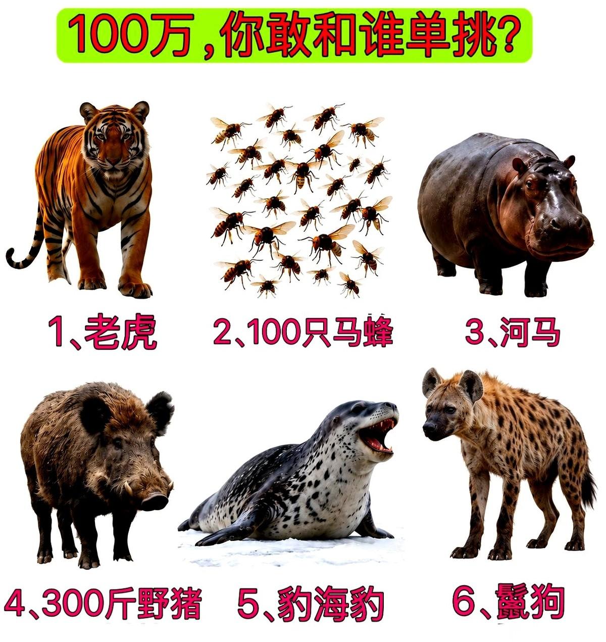 为了100万去跟名单上的动物单挑，唯一存活率较高的是选那30只马蜂。代价是必须