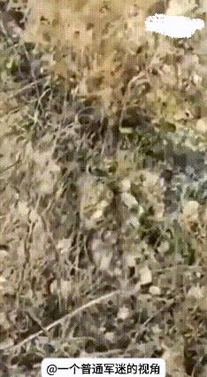 哈尔科夫地区，俄军士兵发布视频表示他们挫败了乌军精锐“亚速”军团的反扑，视频中地