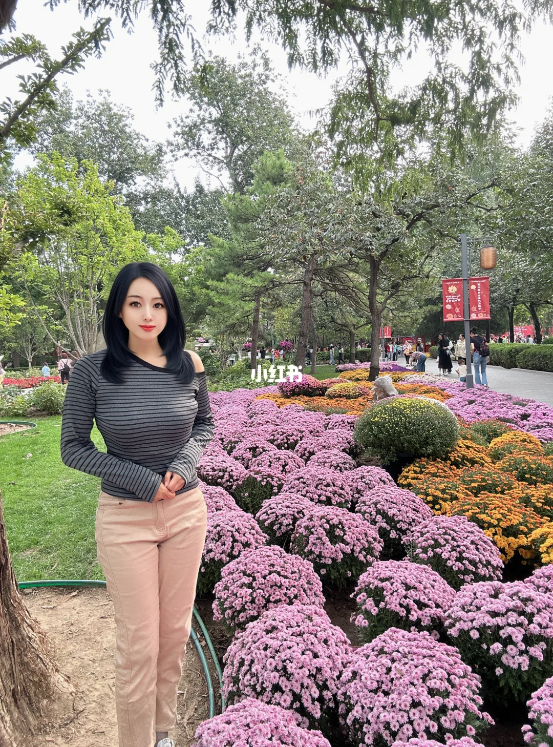 🌼日坛公园秋日免费赏菊花，保姆级攻略来啦～