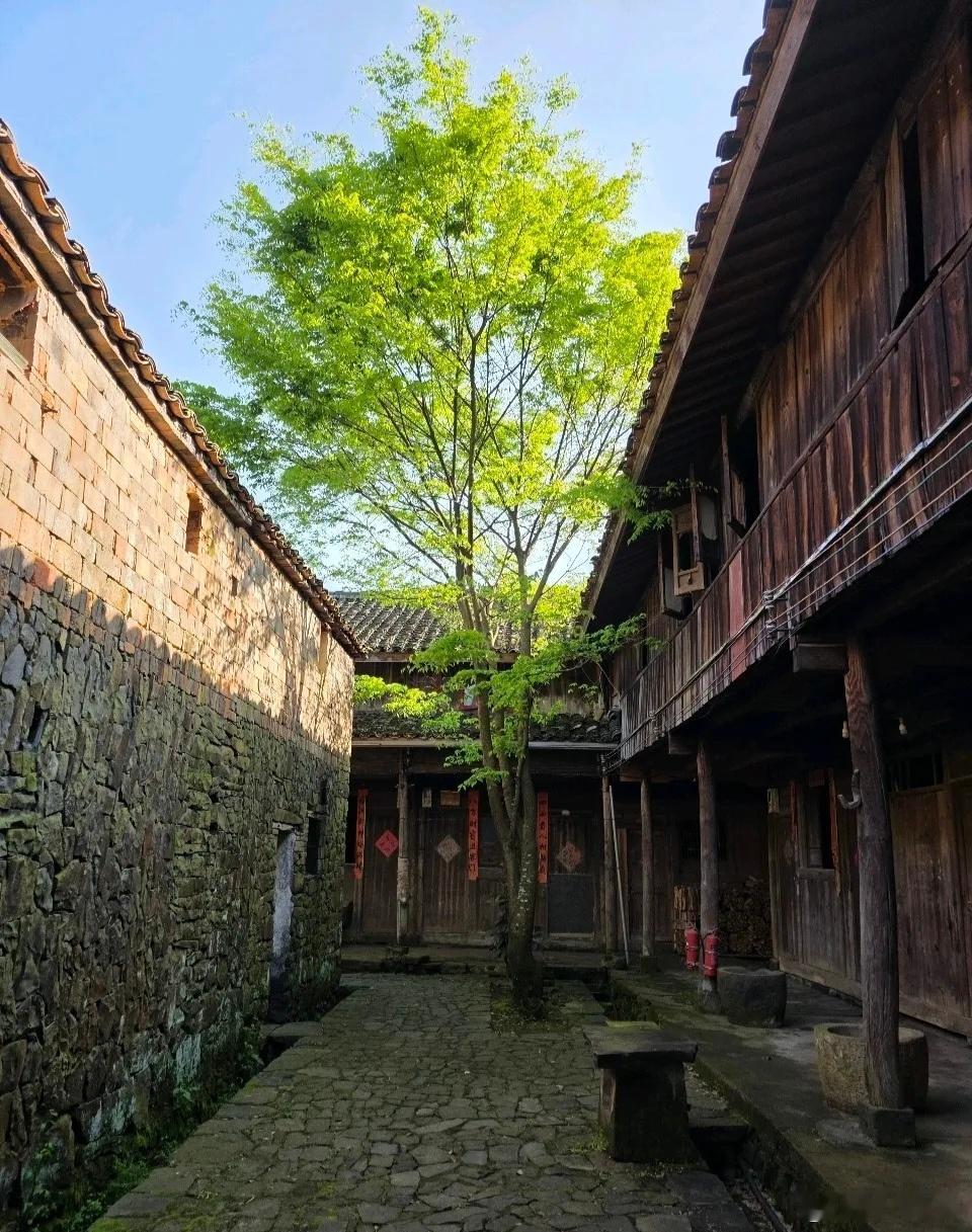 当“全民请愿”，请求袁世凯称帝时，袁世凯也觉得称帝不是问题了，下一个问题就是这皇