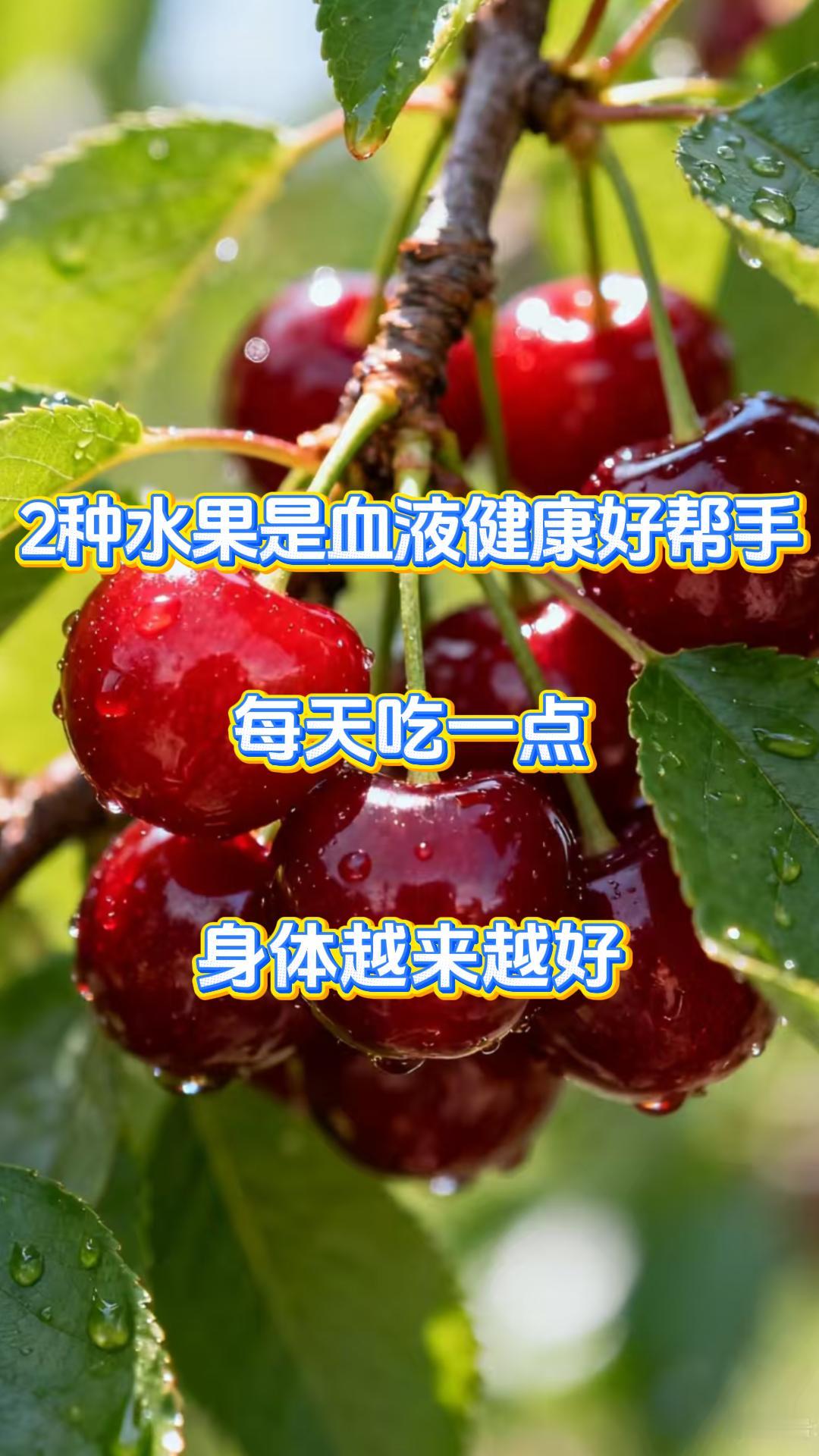 2种水果是血液健康好帮手，每天吃一点，身体越来越好有血液病问题的患者一定要