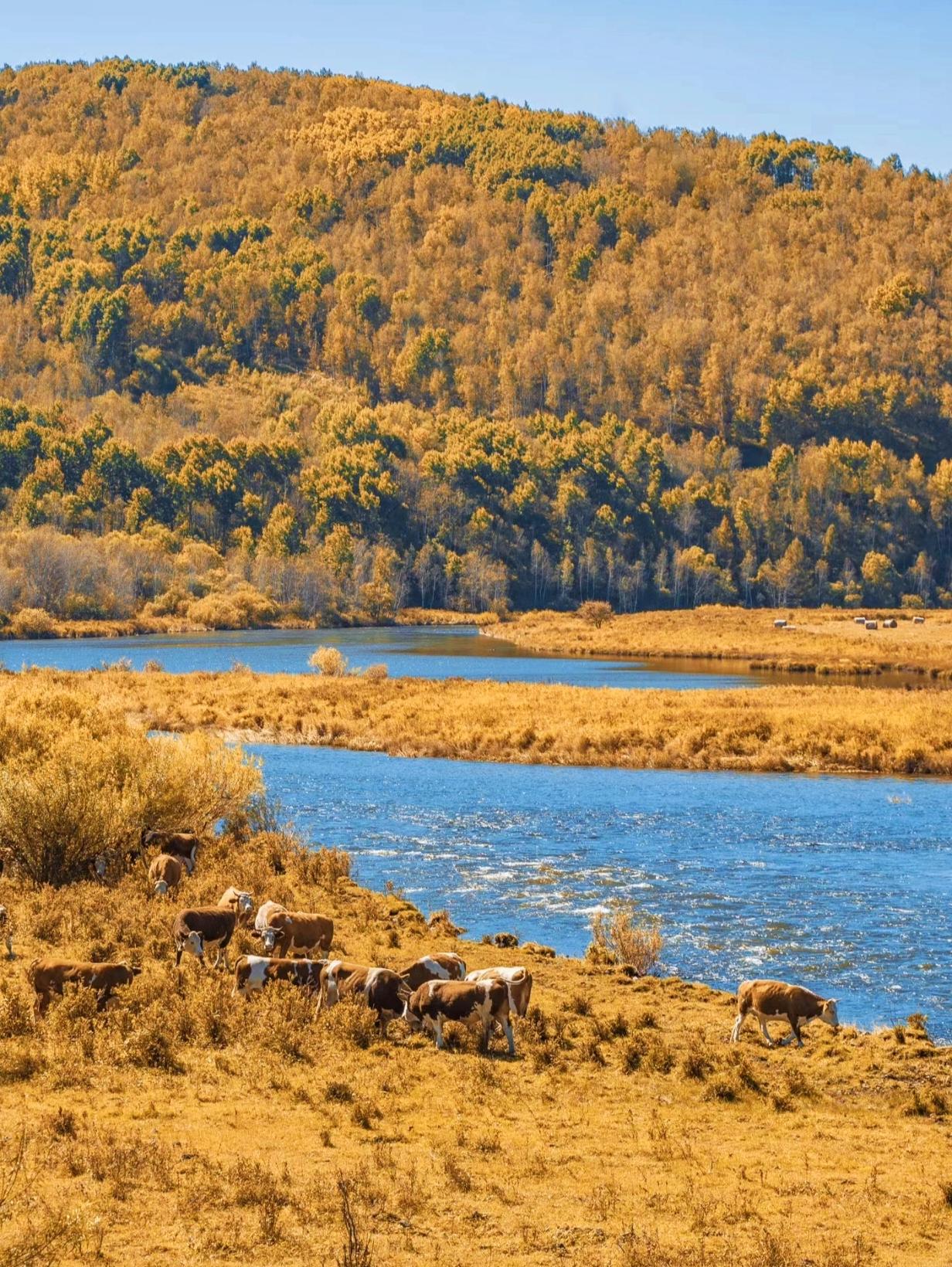 上周刚走完大兴安岭这条1200多公里的国家旅游风景道，全程没踩坑的快乐谁懂啊。