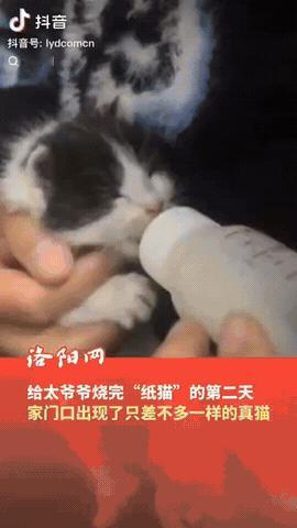 安徽，一13岁男孩给去世的太爷爷烧纸，他特意烧了一只纸猫，怕老人在那边孤单，没想