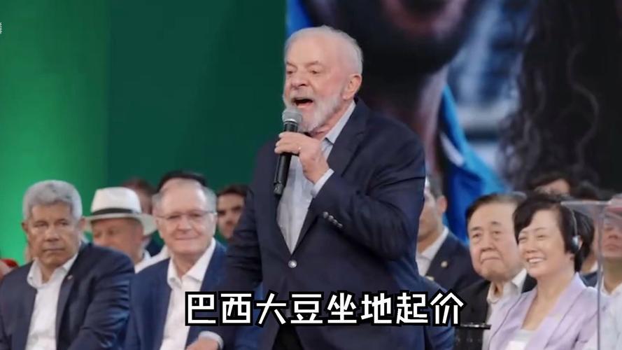200万吨大豆烂在港口:一场贸易博弈里,藏着中国农业的