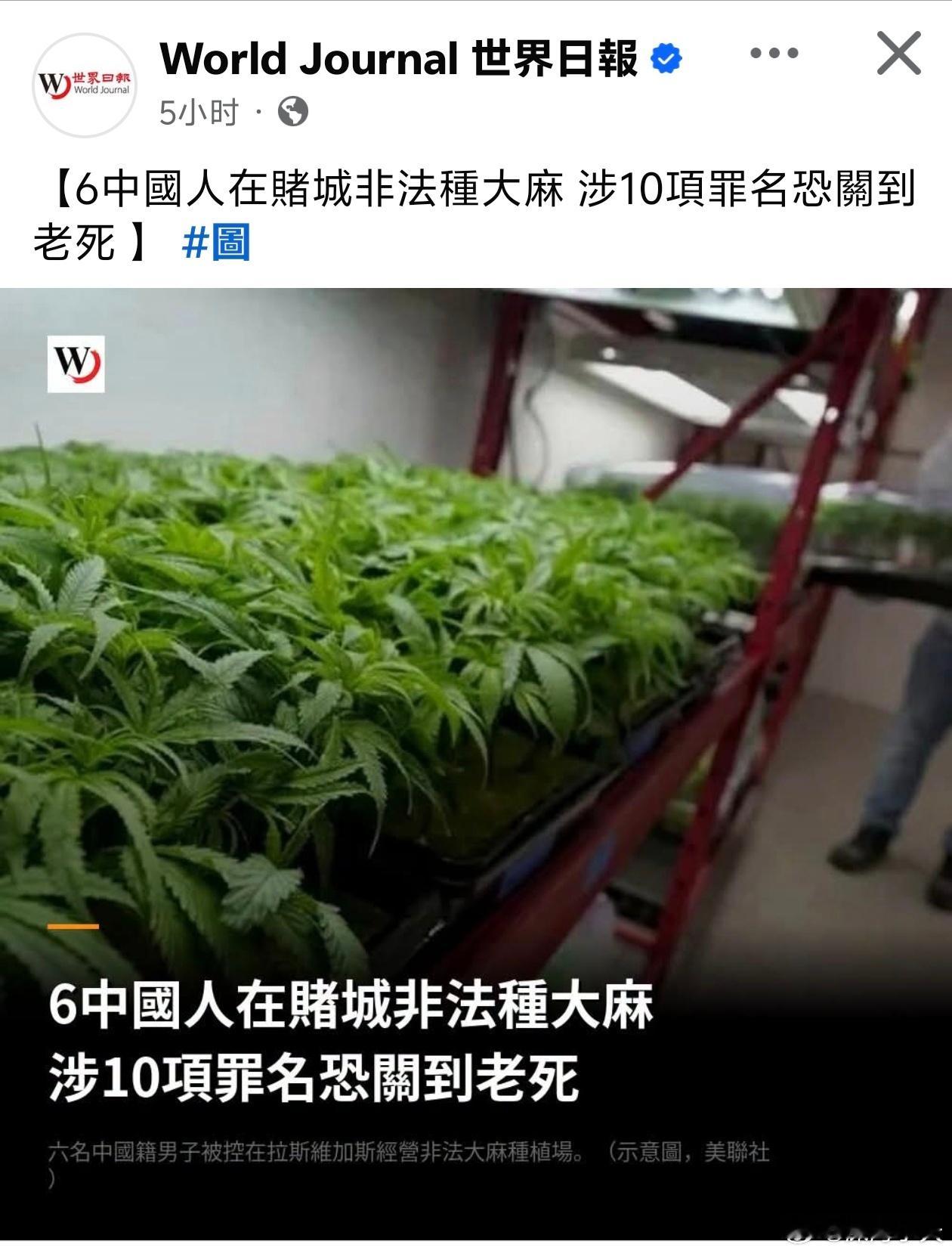 六润人在美贩毒被捕，或终身监禁美媒报道，内华达州联邦检察官办公室日前指出，陪审团