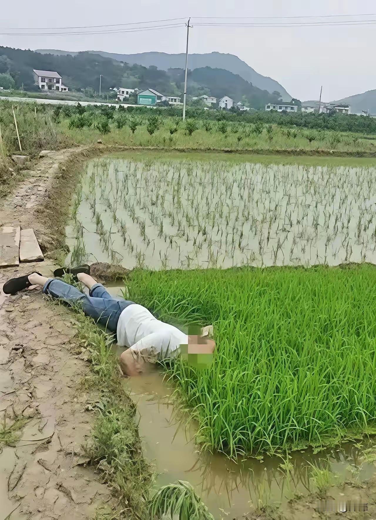 并非谁死谁有理！四川成​都，七​旬大爷晨练途中​不幸溺亡家​属悲痛之下索赔3