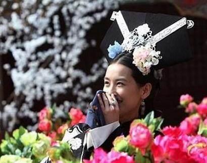 ...雍正皇帝的敦肃皇贵妃,年妃姓年,湖北巡抚、后加太傅、一等公...