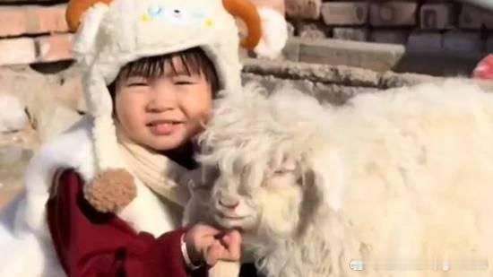 “装死羊”身价已飙升至30万主人为其取名羊肉串近日，在宁夏平罗县宝丰镇中方村，