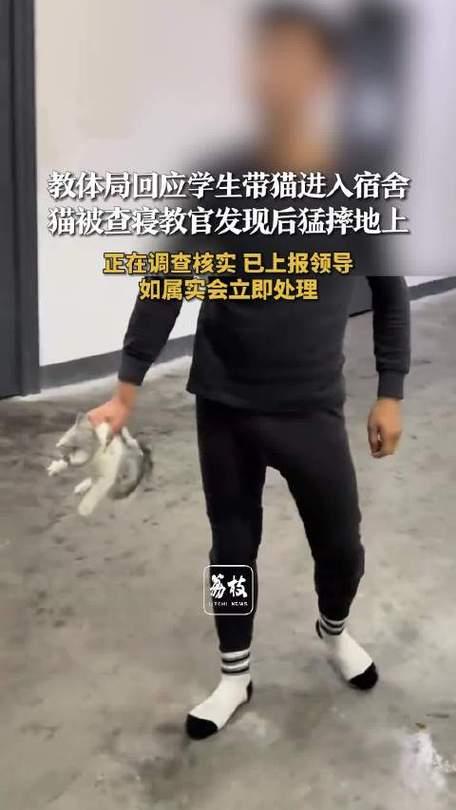 湖南湘西某职校查寝时，教官发现学生违规养幼猫，不顾学生“次日交班主任”的协商，脱