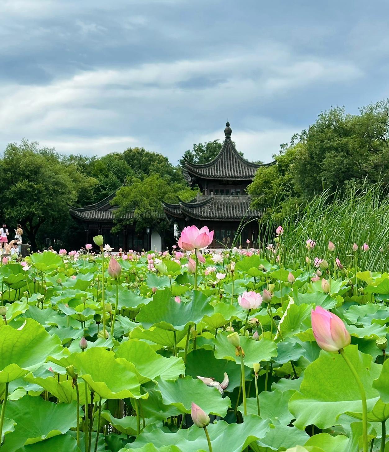 巨蟹座7月9日至7月16日运势傲视群雄，高光时刻。身兼本月之星、年度当运星两