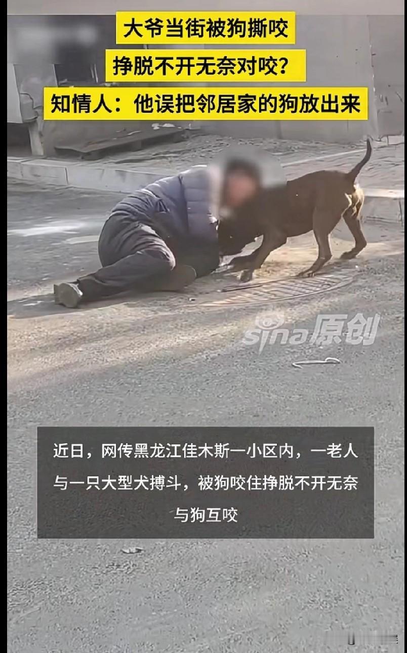 大爷在街上被狗撕咬，大爷挣脱不开，无奈与狗对咬！大爷误把邻居家阳台的狗给放出