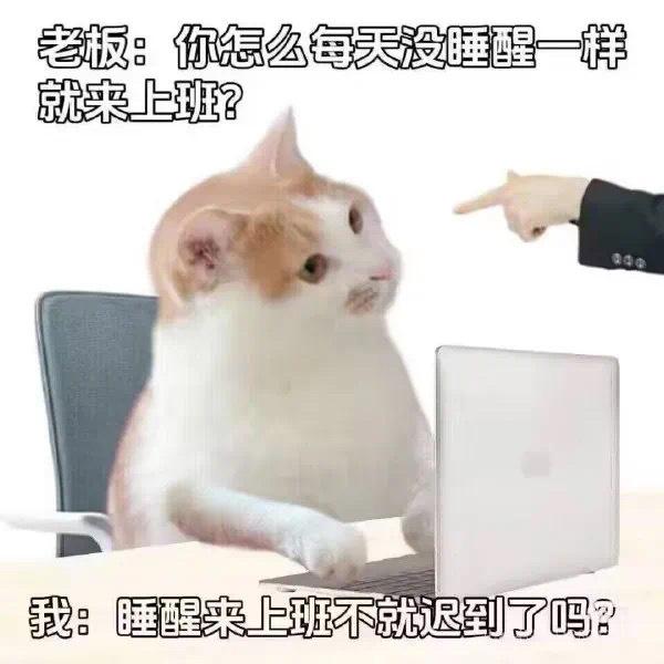 都给我睡死点，明天不用上班​​​