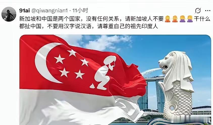 新加坡《海峡时报》陈丹薇：“他们仰慕我们的成功，我们是发达国家嘛！他们羡慕咱们的