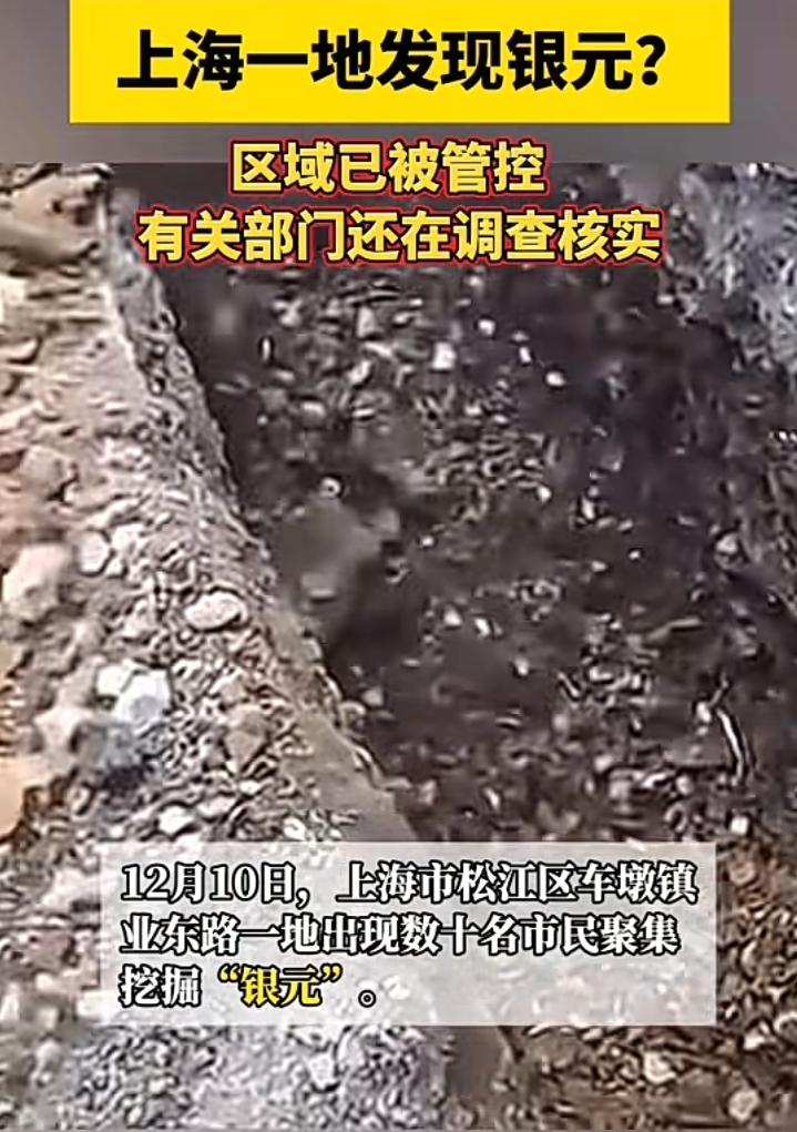 12月10号上海松江车墩镇业东路发现大量银元，现场有人以600元一枚的价格收购，