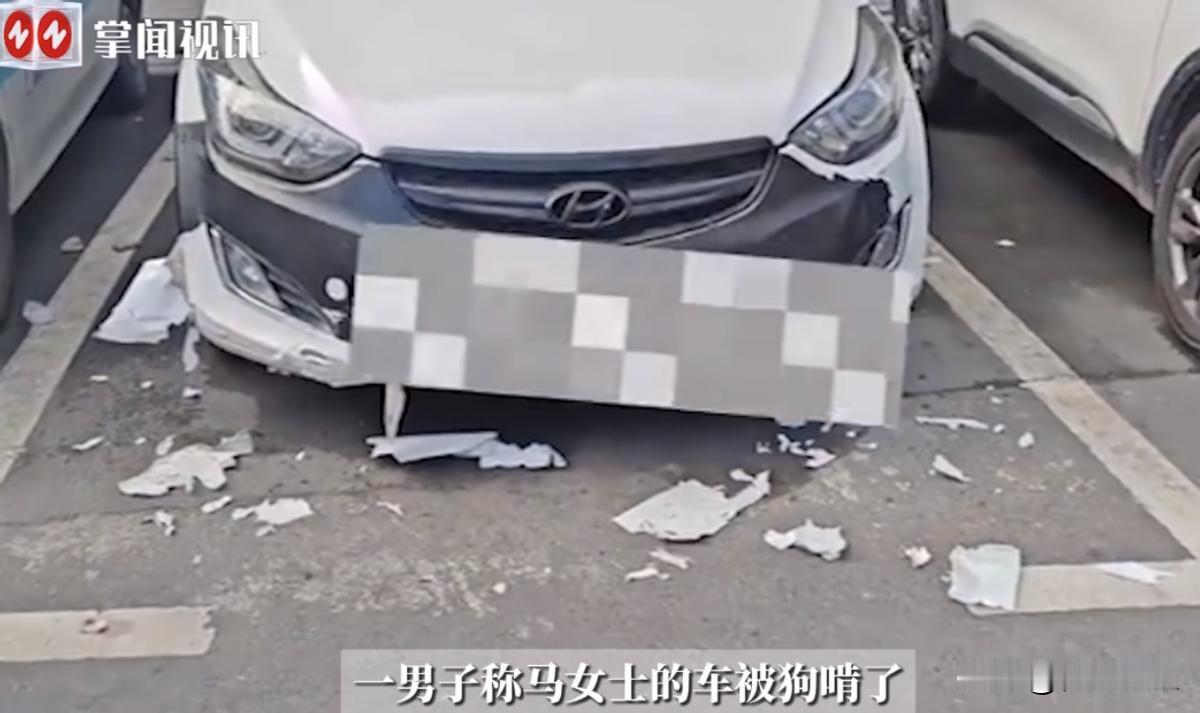“离了个大谱！”10月1日，湖南吉首，一女子把自己的汽车停在楼下，谁知却被人打电