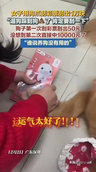 12月2日，广东深圳的吴女士因为遛狗时踩到了狗屎，想着沾了“狗屎运”就去刮了彩票