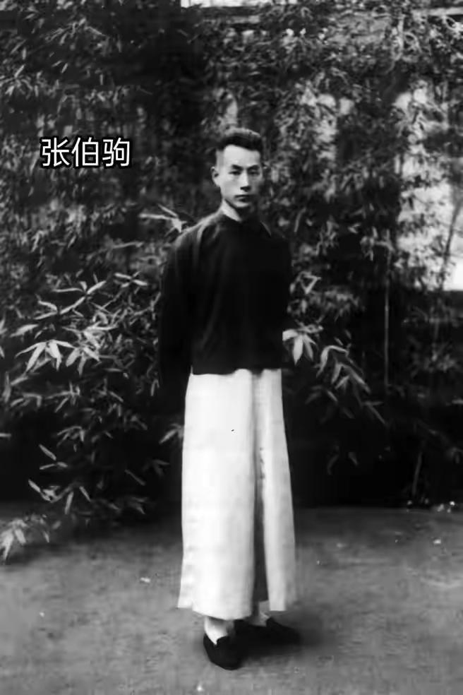 1948年，70岁的袁克定流落街头。突然，他遇到了曾经的仆人，仆人心疼他，每天到