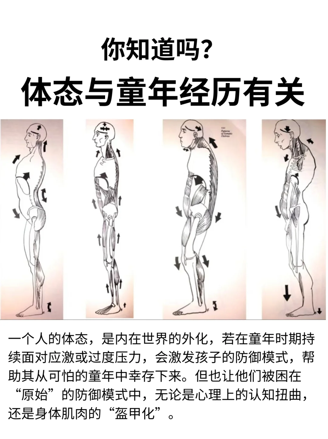 🔥体态与童年经历有关