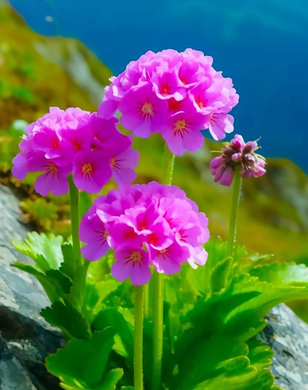 凡事有果必有因，起心动念就是你的因，当下的一切就是你的果。因果虽然看不见摸不着，