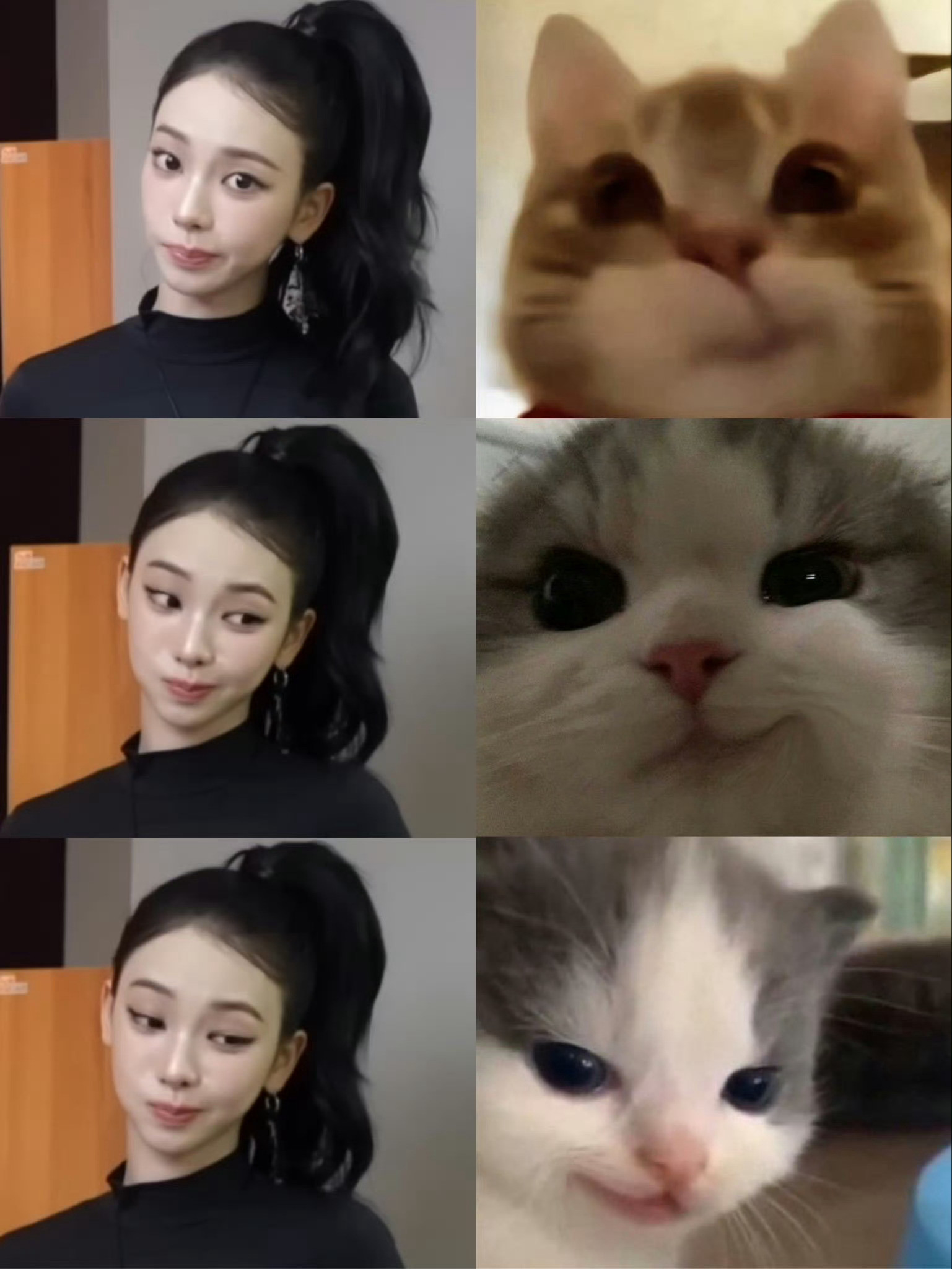 【柳智敏】撒谎的咪要吞一万根猫条·aespa台历维密大秀​​​