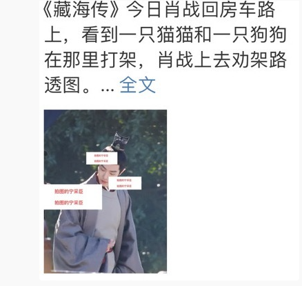 哈哈哈哈哈哈原来肖战劝架是周奇的猫和张婧仪的狗啊哈哈哈哈哈哈哈哈​​​