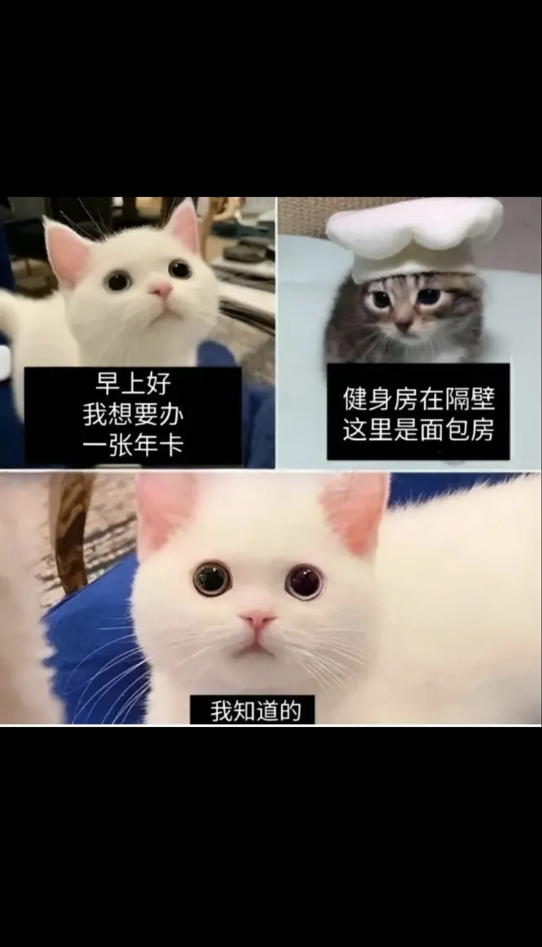 就是你们这的
