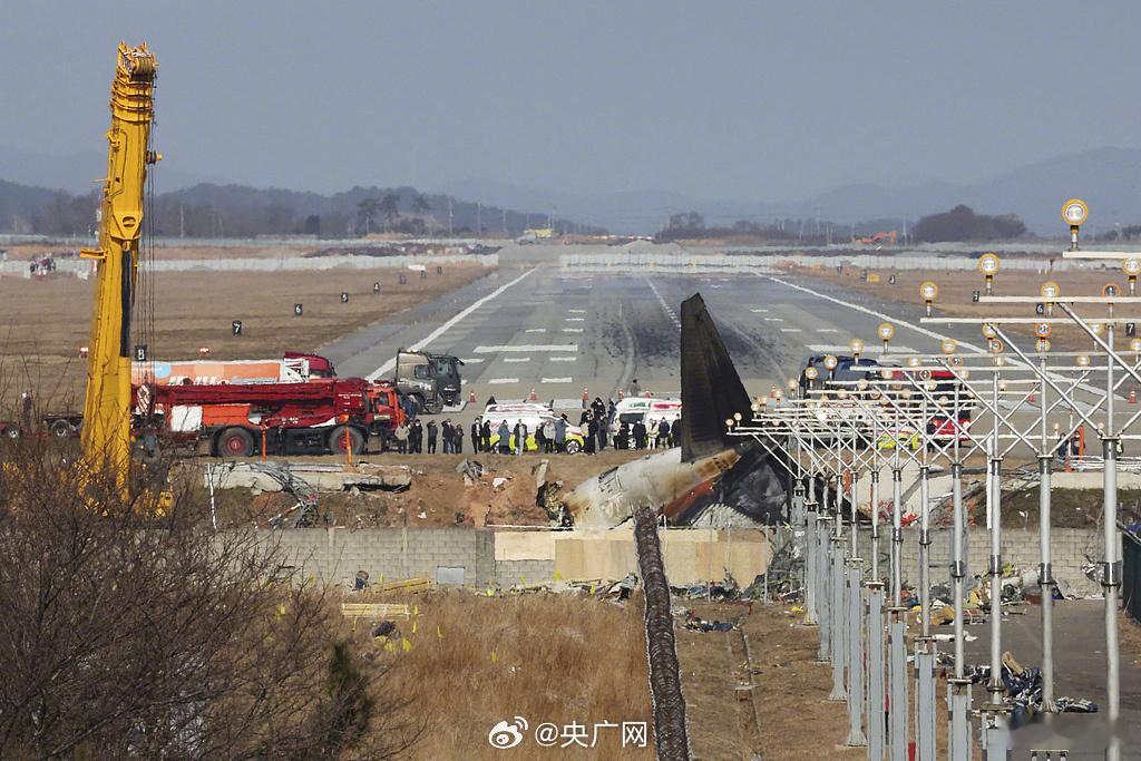 去年的济州航空坠机事件初步调查结果：撞鸟→→右发动机严重受损→→飞行员却手动关了