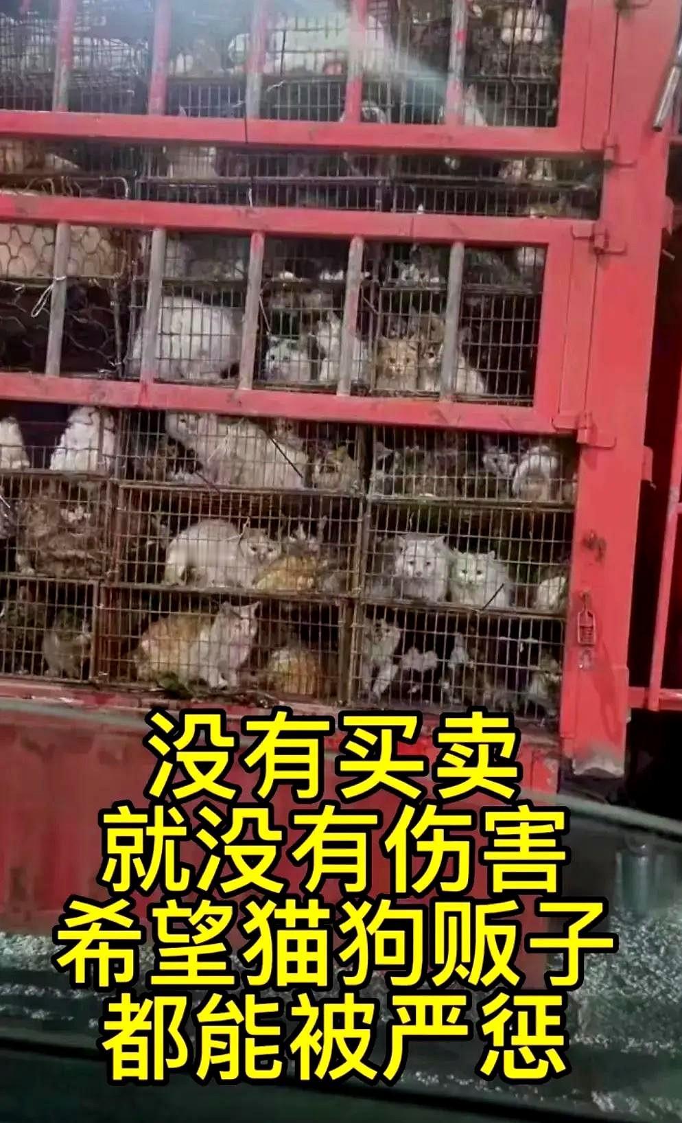 把猫狗肉当作食物，无论是在尊重生命、动物福利、法律法规、食品安全问题、对他人的情