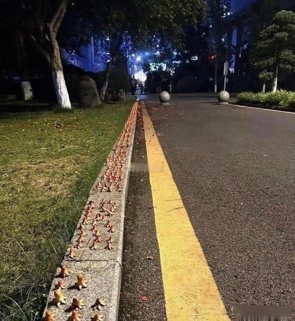 这人究竟是有多无聊呀。