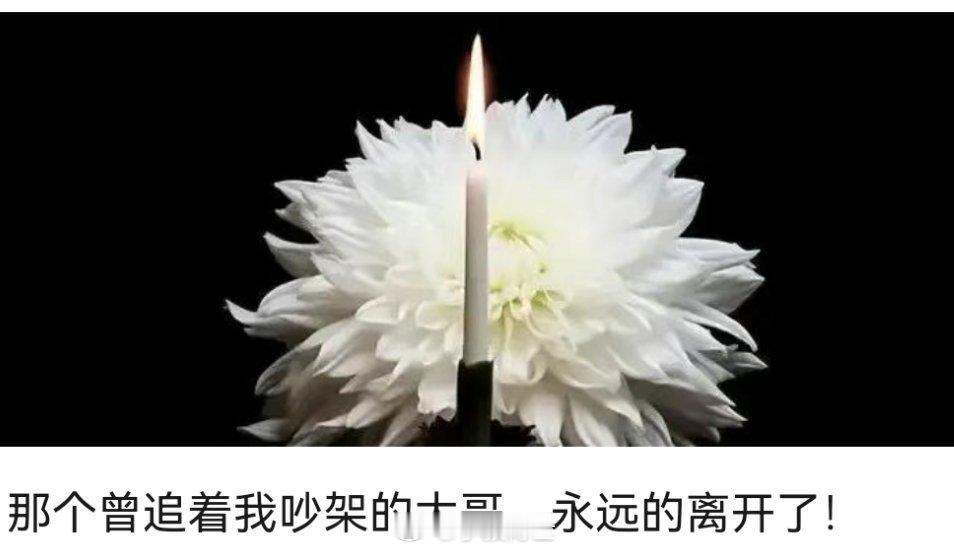 这个医师节，宁愿没有鲜花！在致敬医师节时，更多的是怀念逝去的同学。在特殊时期，他