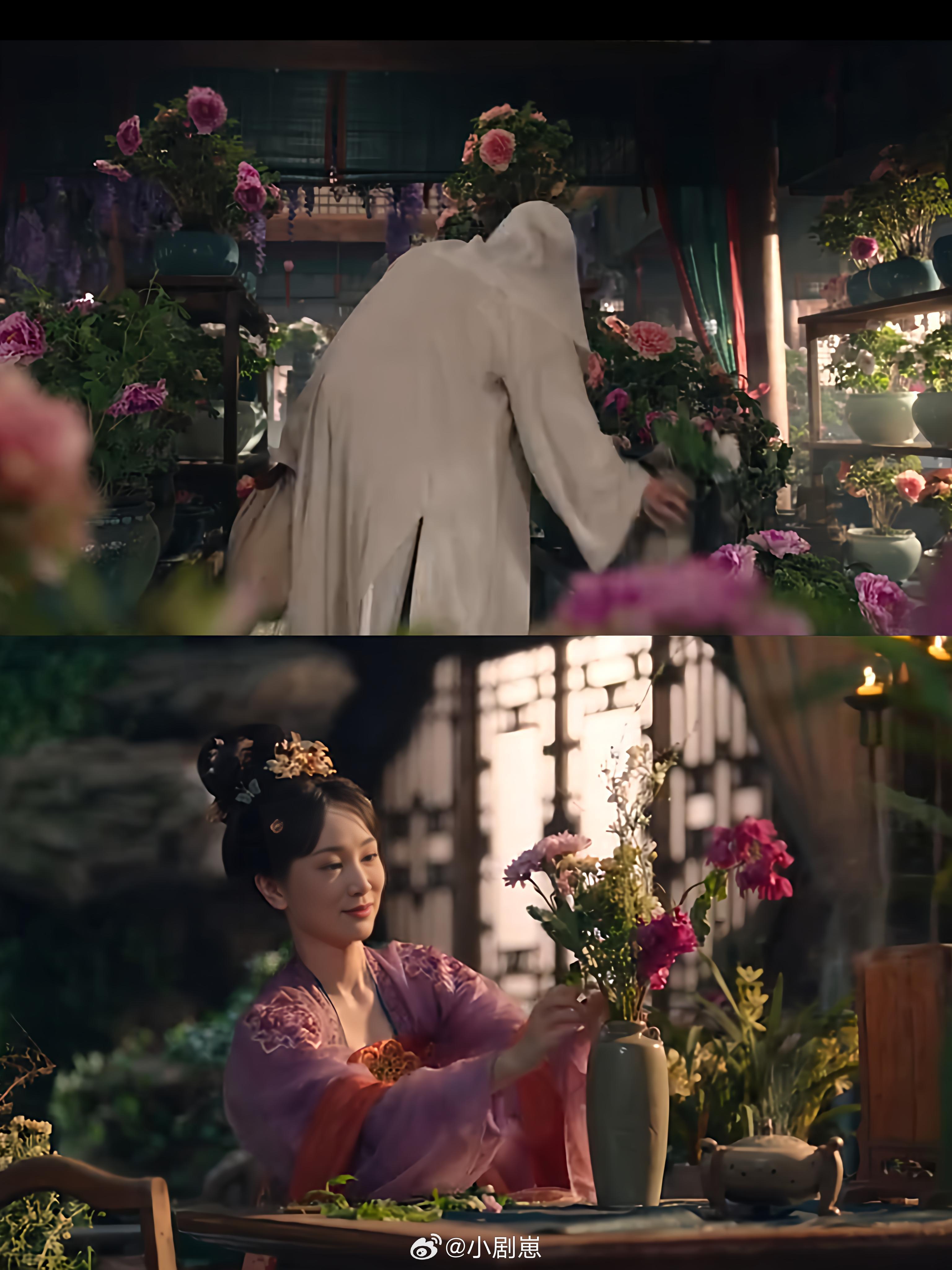 唐朝诡事录韦韬我真的哭死😭韦韬在kill花店老板之后，顺手带了盆花，本以为他是