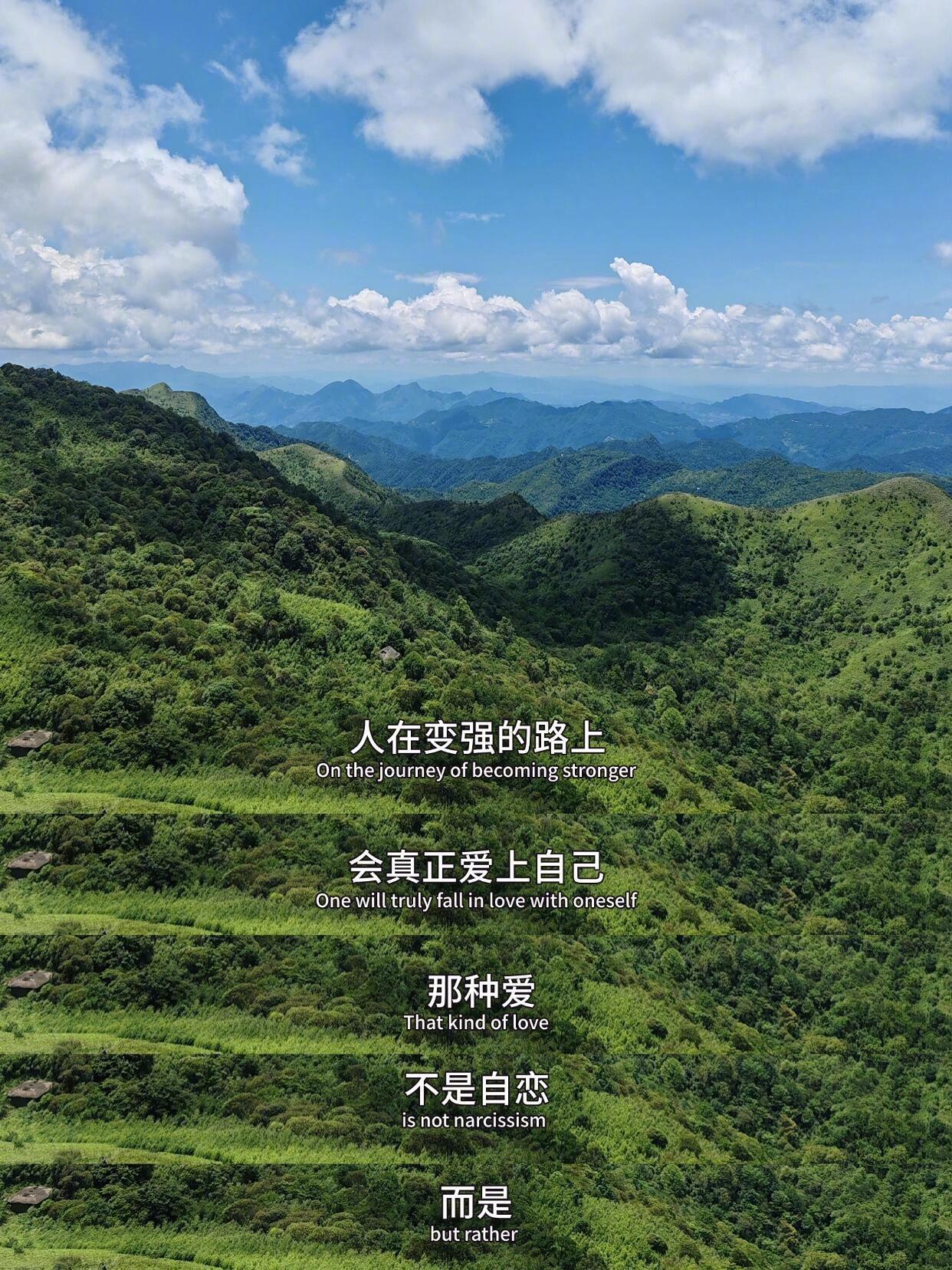 人在变强的路上会真正爱上自己