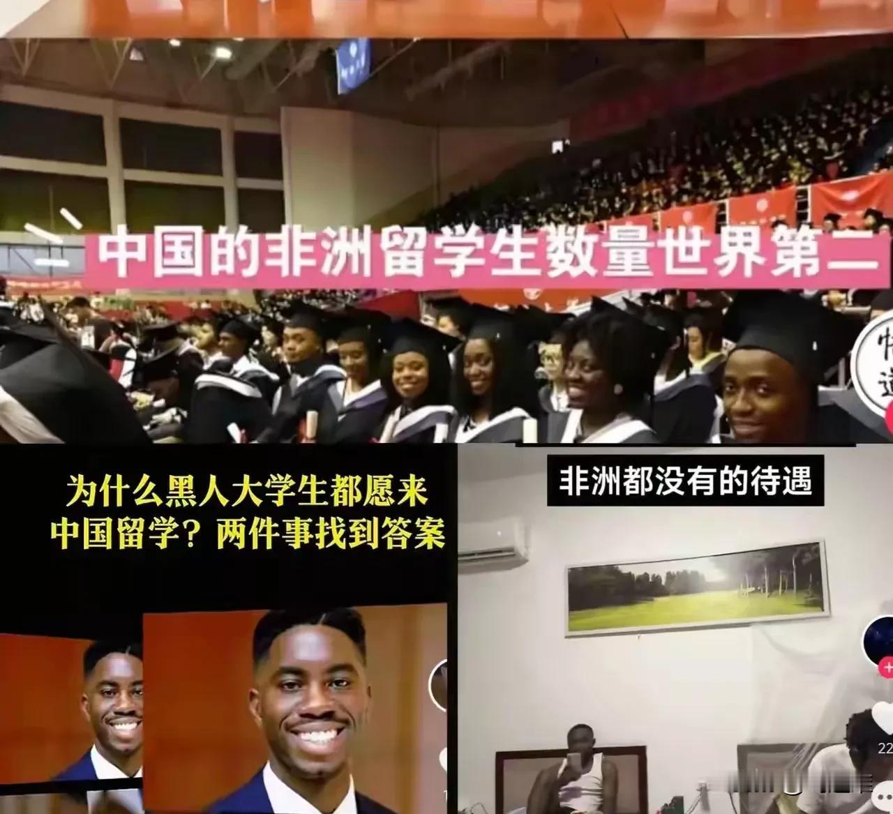 把成功的机会让给外人，让自己的人不能随随便便成功。外国人可以轻轻松松上北大上清华