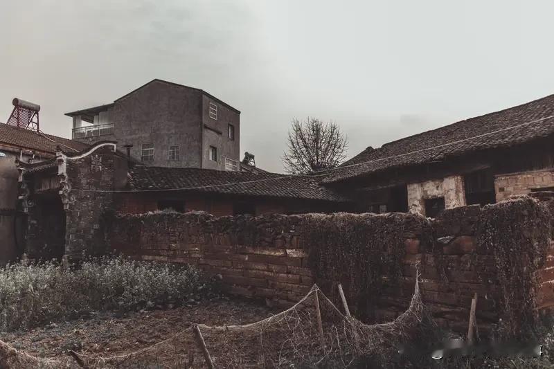 从农村走出去的成功人士都在退休年龄回村里修缮老宅了。现在的农村越来越冷清，没有