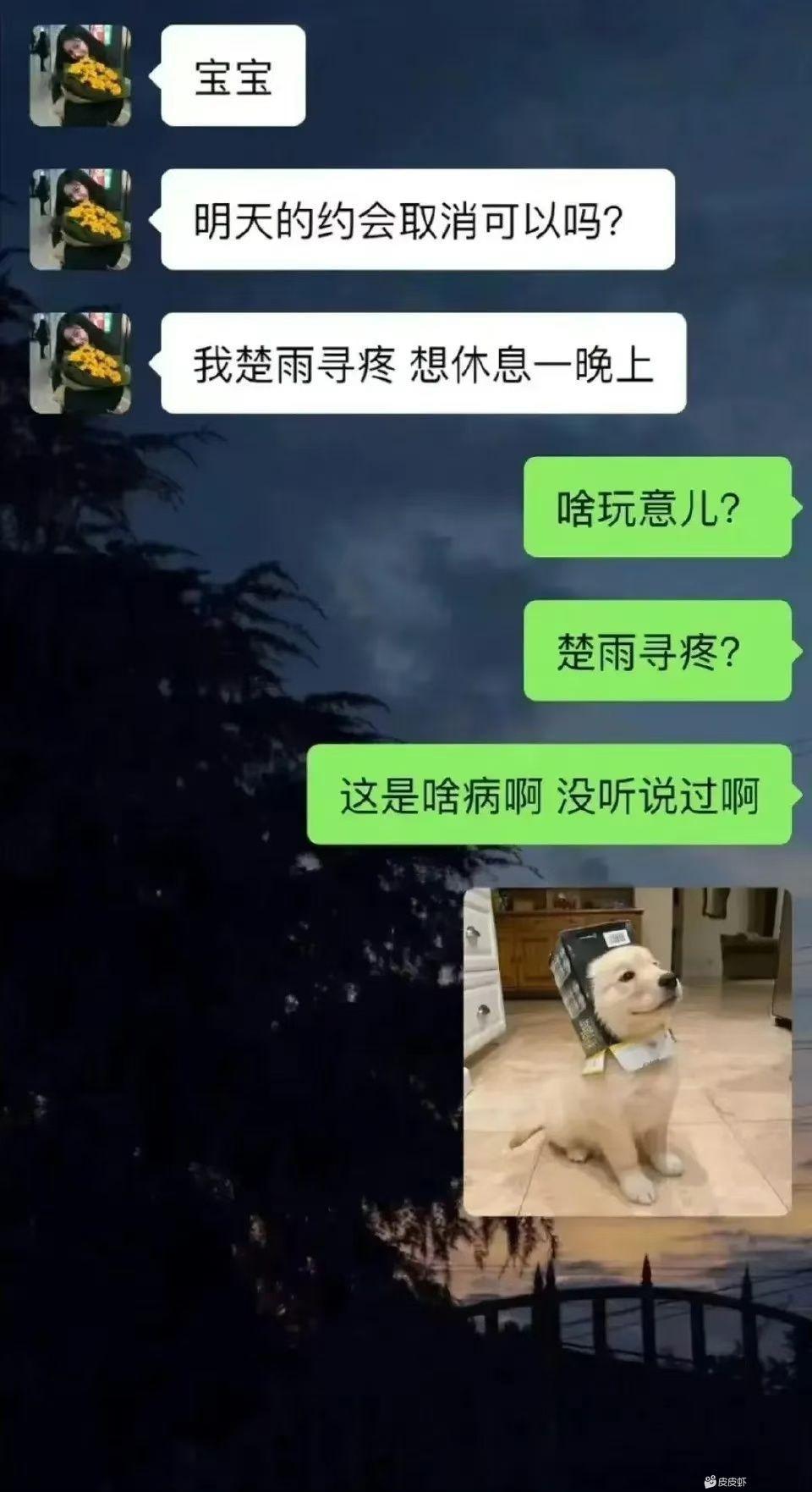 首先，我不叫楚雨荨，我叫胃