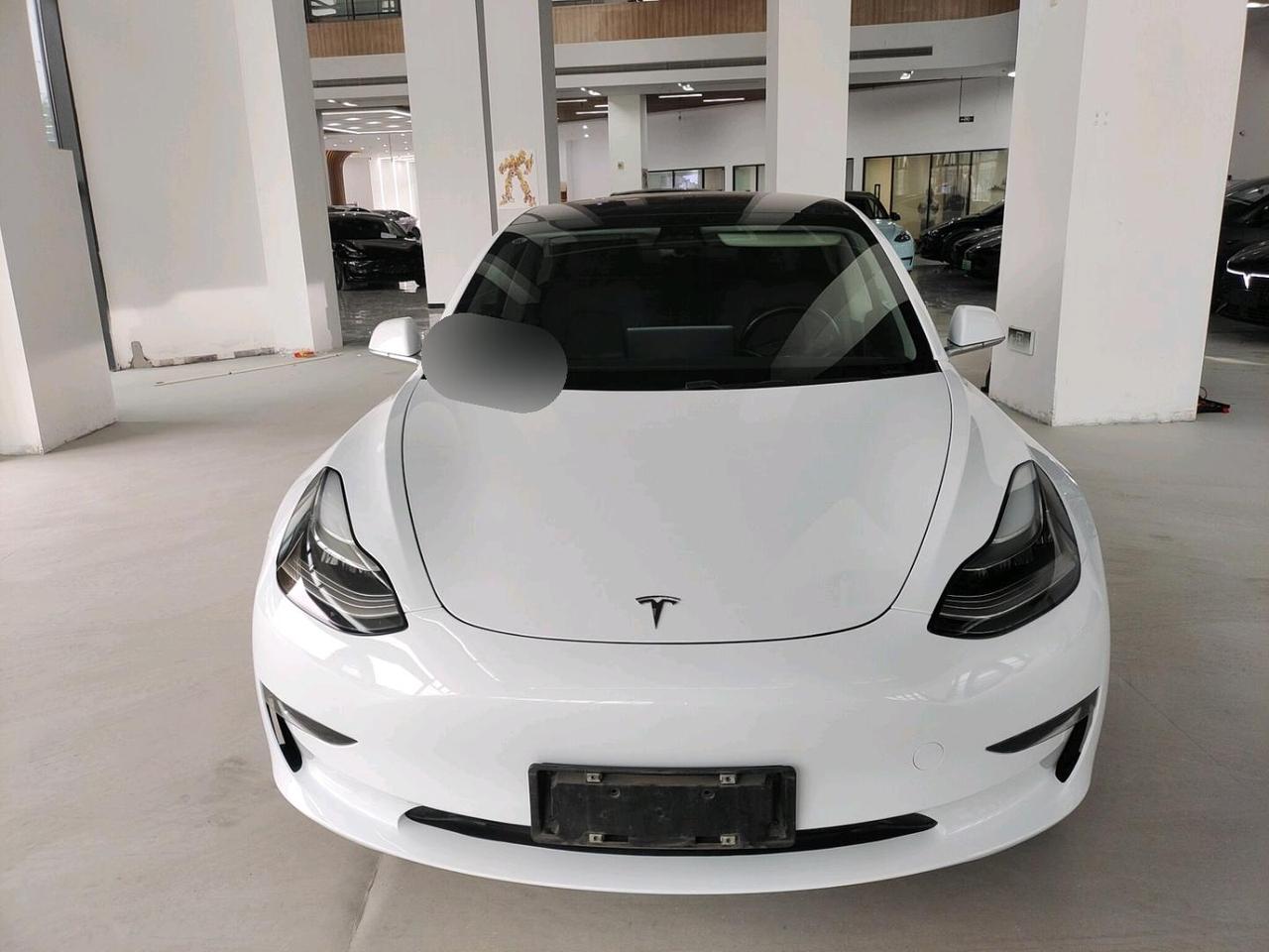 进口的特斯拉Model3，当年落地将近50万，仅次于韭皇的韭菜王！前两天在北
